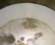 Tocanita de tap cu garnitura de quinoa-1