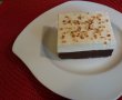 Prajitura cu blat de ciocolata si mousse de vanilie-11