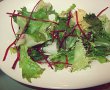 Salata cu clementine, rodii, avocado și branza-4