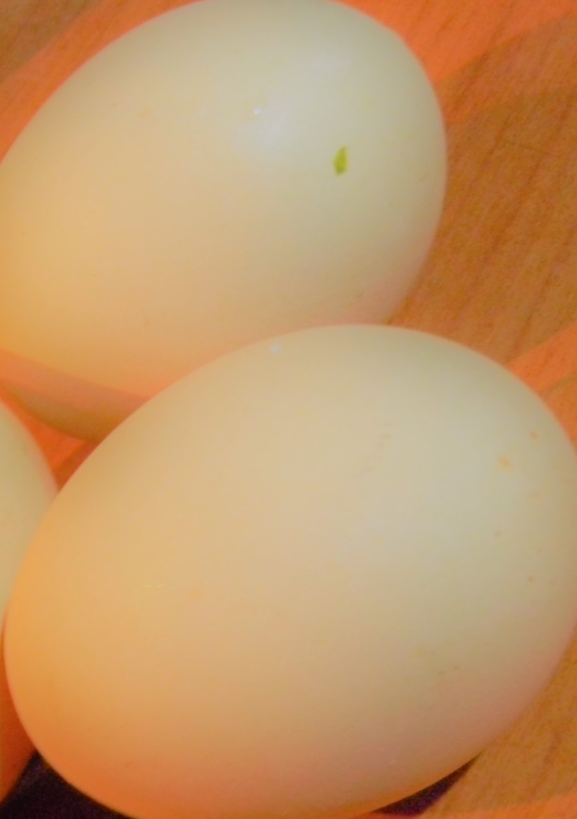 Parizer din piept de curcan in ou
