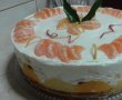 Cheesecake cu clementine-5