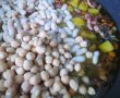 Mix legume si pancetta in sos de rosii-2