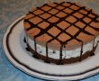 Cheesecake cu ciocolata-0