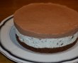 Cheesecake cu ciocolata-8