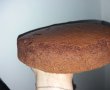 Desert tort aniversar-4