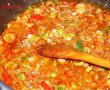 Mancarica de legume-1
