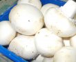 Ciuperci umplute pe pat de cartofi caliti cu ceapa-0
