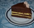 Desert tort cu ciocolata si crema de vanilie-18