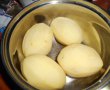 Aperitiv cartofi gratinati cu parmezan-0