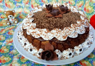 Desert tort amandina