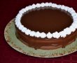Desert tort cu crema de afine, caise si ciocolata-0