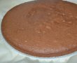 Desert tort cu crema de afine, caise si ciocolata-2
