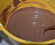 Desert tort cu crema de afine, caise si ciocolata-5