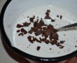 Desert tort cu crema de afine, caise si ciocolata-13