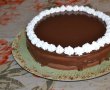 Desert tort cu crema de afine, caise si ciocolata-15