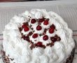 Desert tort Padurea Neagra-3