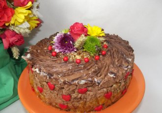Desert tort Tamara