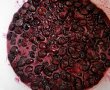 Dulceata de visine-9