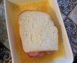 Friganele sandwich-2