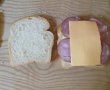 Friganele sandwich-3