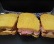 Friganele sandwich-4
