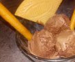 Desert inghetata de casa cu aroma de cacao si rom-2
