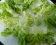 Salata Niçoise-1