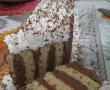 Desert tort de biscuiți a la Benedetta-13
