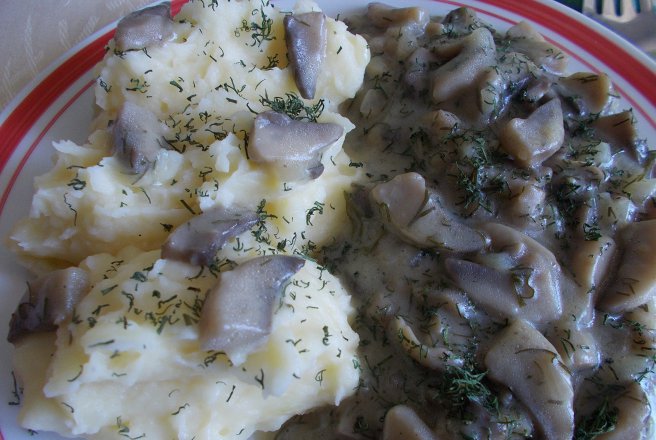 Tocanita de champignons cu piure de cartofi