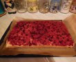 Desert prajitura cu coacaze rosii-10