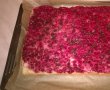 Desert prajitura cu coacaze rosii-13