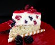Cheesecake cu lamaie si fructe de padure-7
