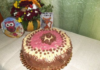 Desert tort Dana