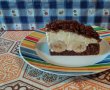 Desert tort Musuroi de cartita-9