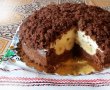 Desert tort Musuroi de cartita-10