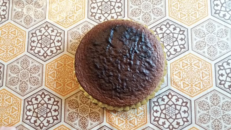 Desert tort Musuroi de cartita
