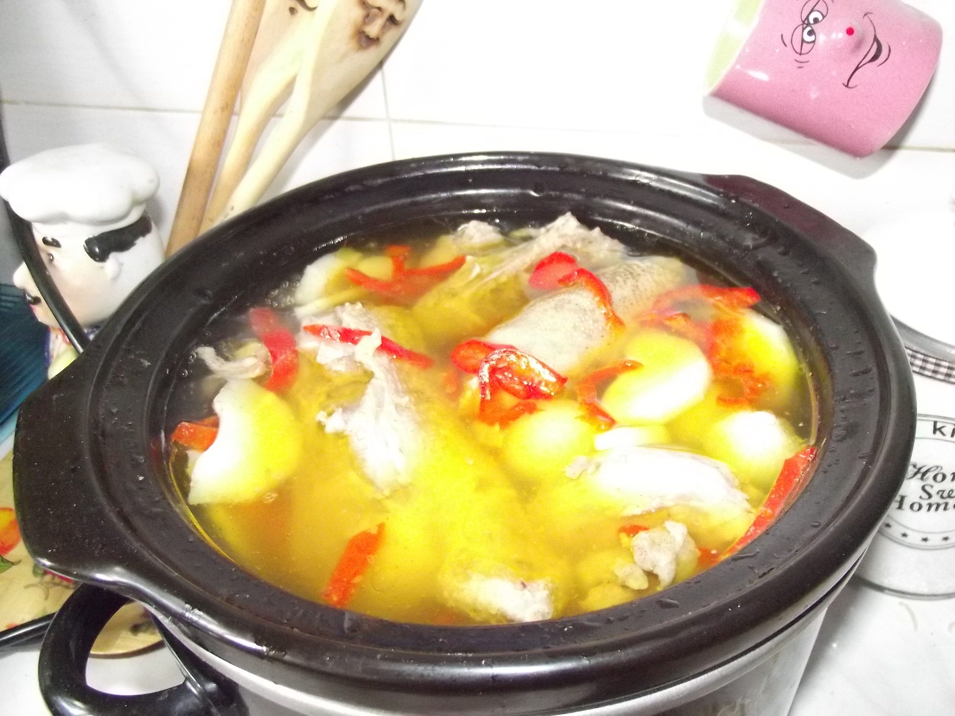 Supa Gogu-Pintenogu cu taitei de casa la slow cooker Crock-Pot