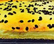 Desert tarta cu branza dulce si agrise-9