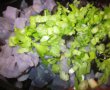 Salata de cartofi violet-2