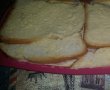 Aperitiv chec sandwich croque monsieur-3