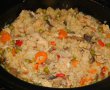 Pilaf cu pui si legume la slow cooker Crock-Pot-13