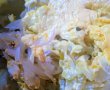 Salata de ceapa marinata cu chiftelute-11