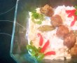 Salata de ceapa marinata cu chiftelute-22