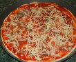 Pizza de casa-2