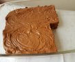 Desert ciocolata de casa cu menta-9