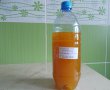 Lichior de portocale-11