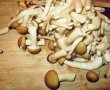 Aperitiv budinca cu pui, ciuperci si legume-4