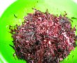 Salata de sfecla rosie la cuptor, cu hrean-8