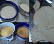 Desert tort Iepuras-0