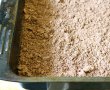 Desert prajitura cu branza si mure-5